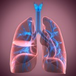IMforte Trial: A Potential First-Line Maintenance Therapy for Extensive-Stage Small Cell Lung Cancer